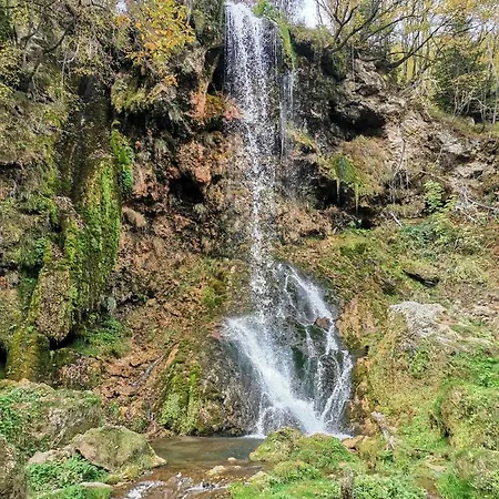 Belvedere Lux & Apartment Zlatibor