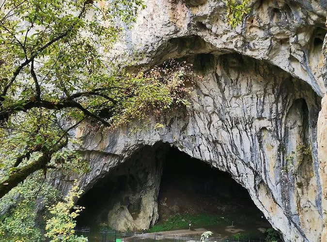 Apartman Belvedere Lux &