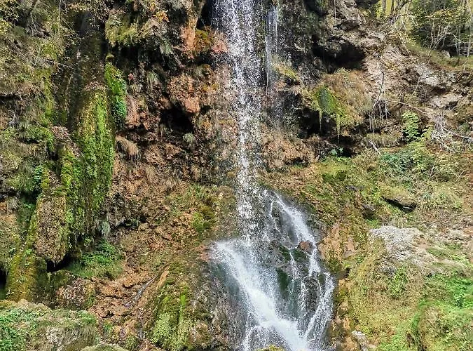 Belvedere Lux & Apartman Zlatibor